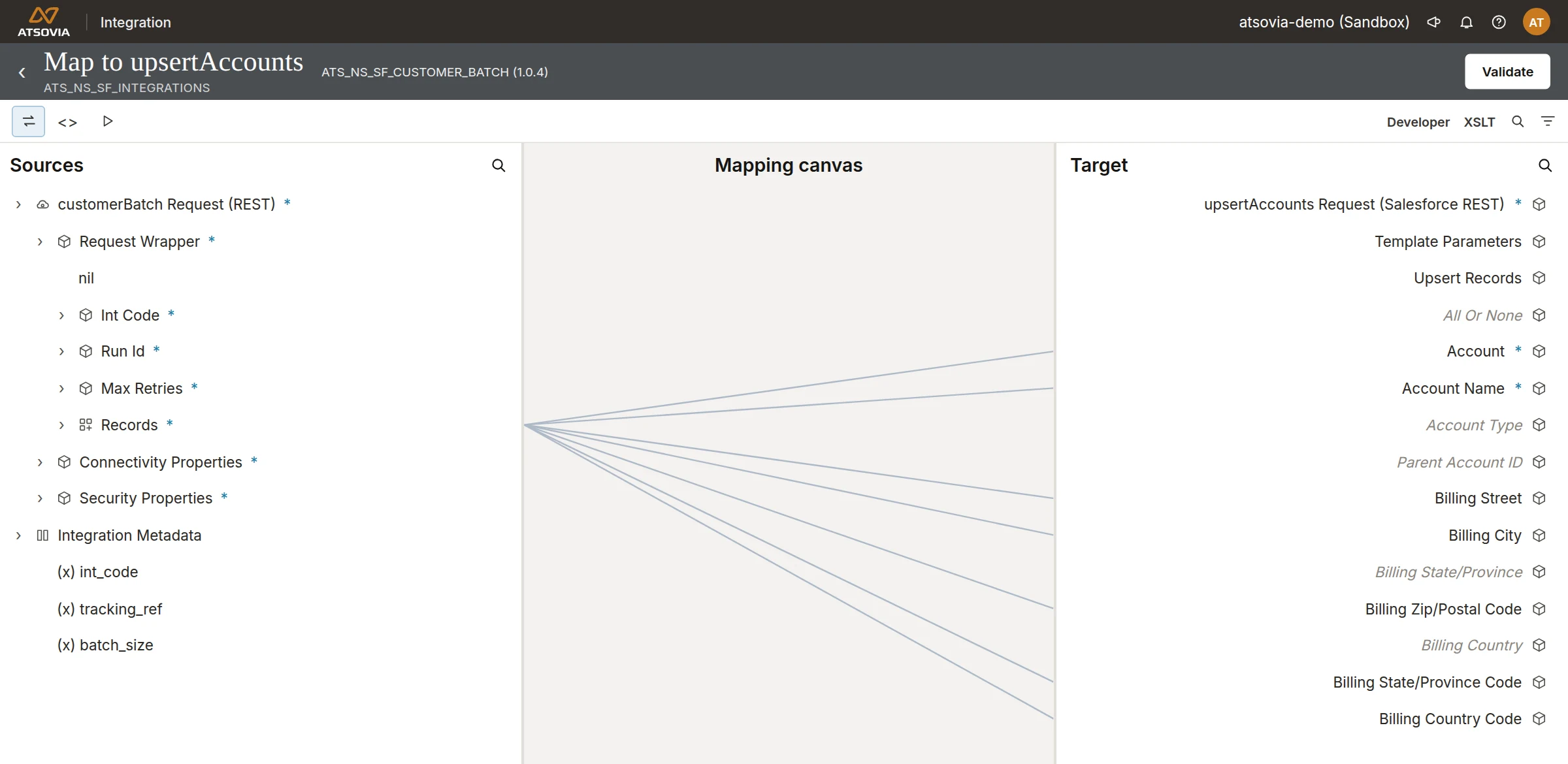 Every field mapped in the open, demo integration account
