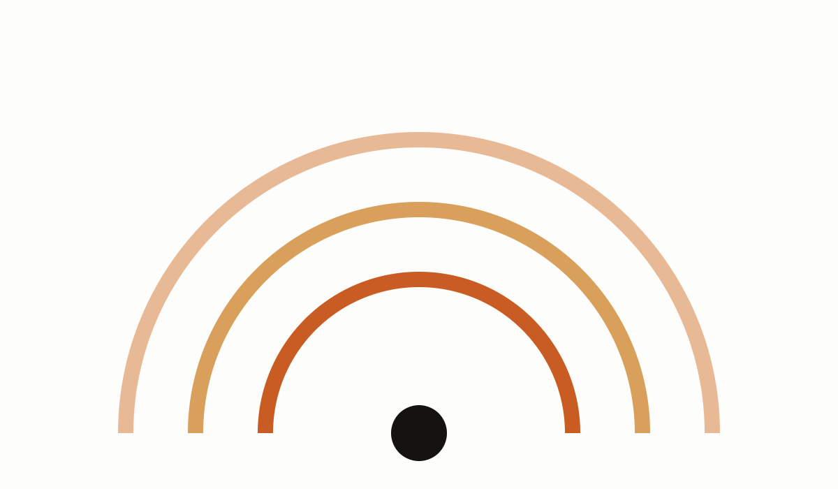 NetSuite support session and account health check